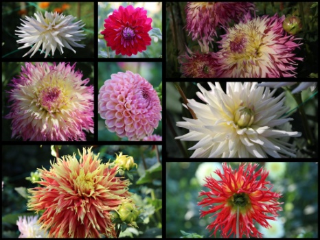 368342909 792918075965065 4693585179222948665 n