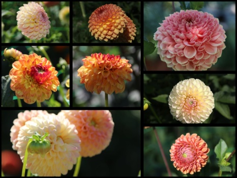 368374829 792918009298405 8252793423370052284 n