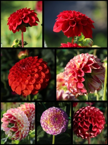 368383390 792917899298416 5485985928203382411 n