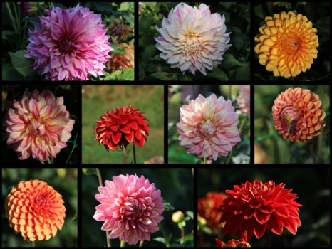 368392136 792917979298408 6452461849995217614 n