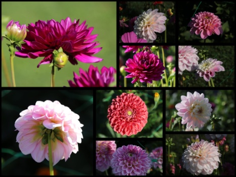 368424409 792917849298421 8799482861475970557 n