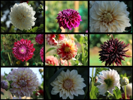 368816433 792917932631746 2670336278168880152 n