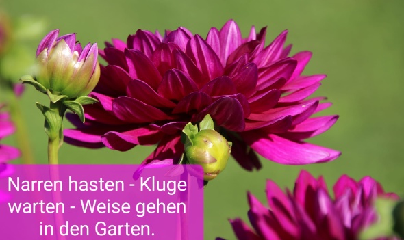 370002458 794680825788790 3937149968052899382 n 370002458 794680825788790 3937149968052899382 n