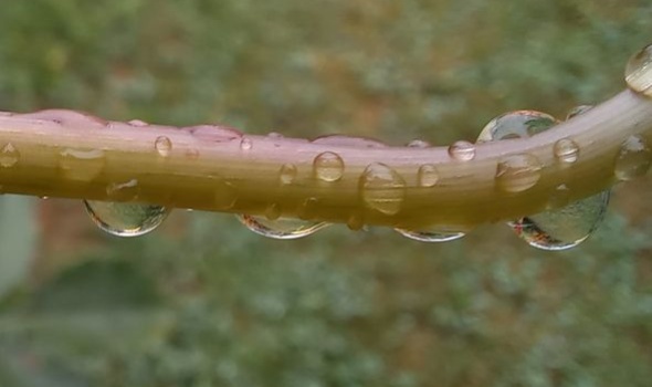 371053372 797740995482773 2355116943120863336 n