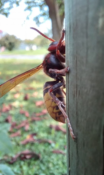 371124480 799313968658809 1698902160431127058 n 371124480 799313968658809 1698902160431127058 n