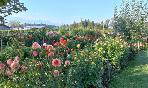 375977764 805407918049414 4225618119548755580 n