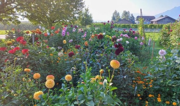 376013779 805407874716085 7155691891278951707 n