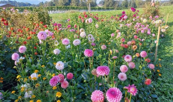 376236221 805408194716053 3690629954988027725 n