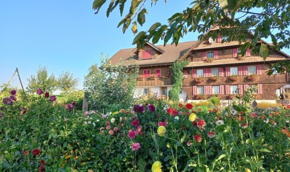 378174669 805408071382732 7689199189943530163 n 378174669 805408071382732 7689199189943530163 n