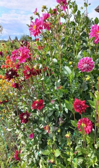 380774021 812057924051080 7629335388005169126 n