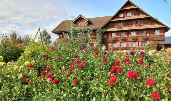 382449024 812057690717770 9198463228514914154 n