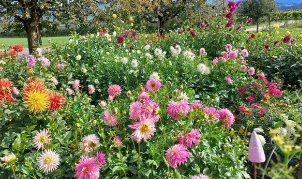 382450664 812057870717752 4419915621259825934 n 382450664 812057870717752 4419915621259825934 n