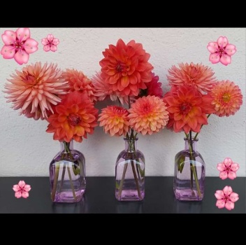 383000833 812413050682234 6989428738217203002 n 383000833 812413050682234 6989428738217203002 n