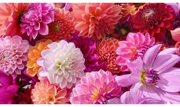 384784555 814927573764115 7573593473824726038 n 384784555 814927573764115 7573593473824726038 n