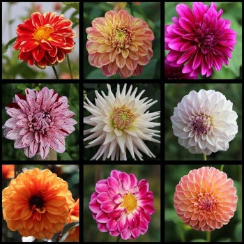 385879226 820967543160118 8437623621709372934 n