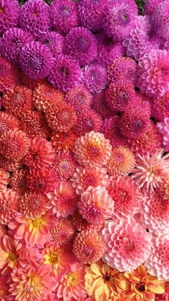 386648579 818472623409610 44053181583446896 n