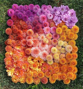 386650036 818472716742934 5498053312853327766 n 386650036 818472716742934 5498053312853327766 n