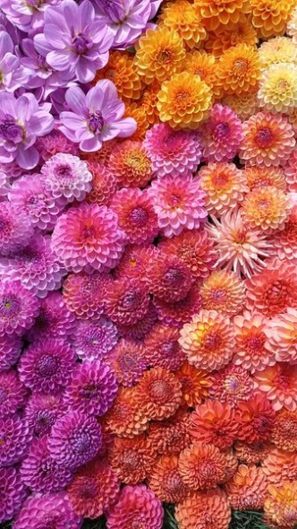 386656791 818472593409613 8954561853570354998 n