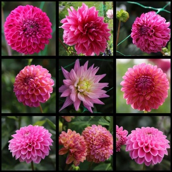 387742959 820967679826771 2632995509091150196 n 387742959 820967679826771 2632995509091150196 n