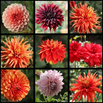 387744038 820967653160107 6765938481030502837 n