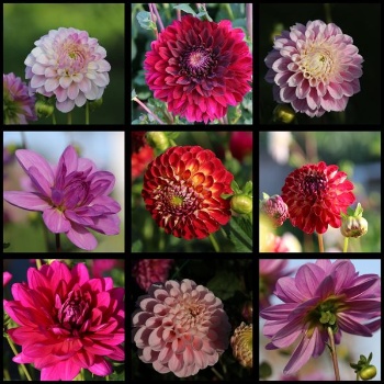 387824408 820967583160114 3310209265287331818 n