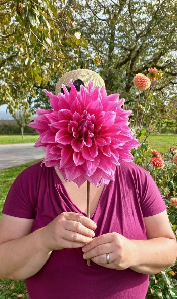 387827610 820877413169131 7300461237465551049 n 387827610 820877413169131 7300461237465551049 n