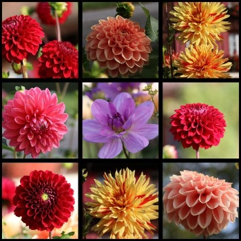 387829687 820967636493442 603250711055786582 n