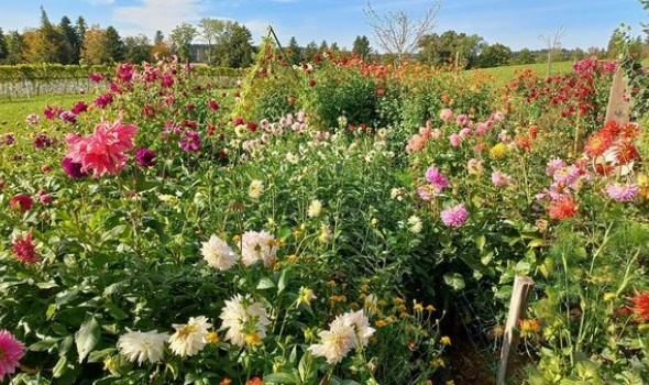 391690937 822438036346402 1642200352676705538 n