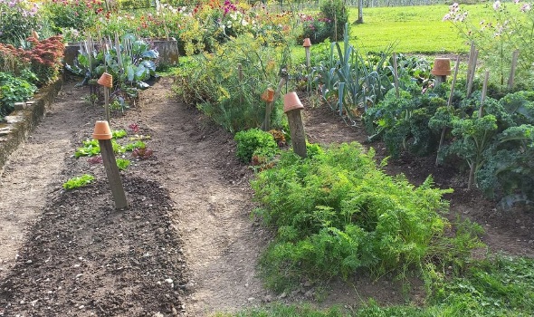 391702668 822561836334022 7177357633653949948 n 391702668 822561836334022 7177357633653949948 n